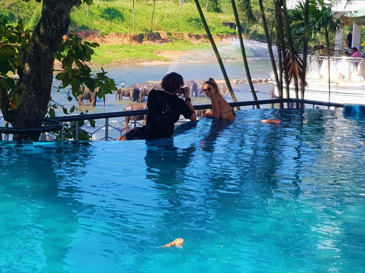 Hotel Elephant Park - New Deal! Half Off Airport Pickups Available Pinnawala  Exterior photo